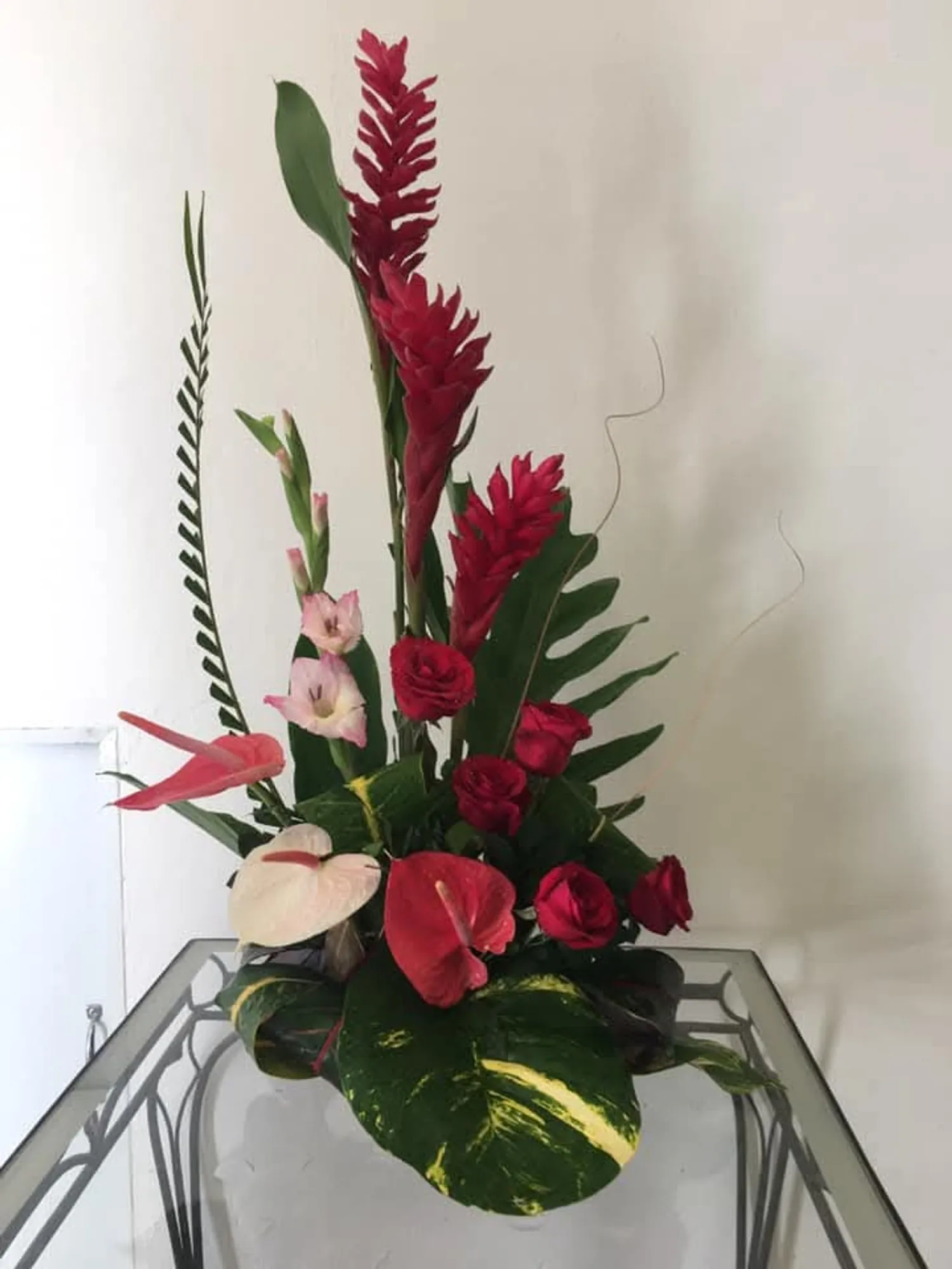 Armonía Tropical Vertical