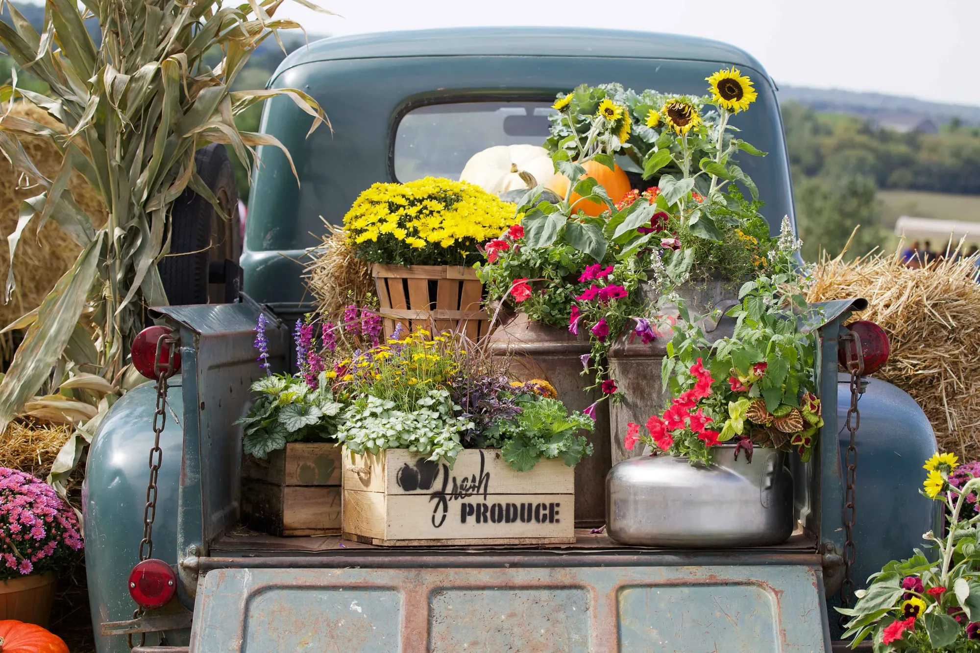 Logística y Distribución Terrestre